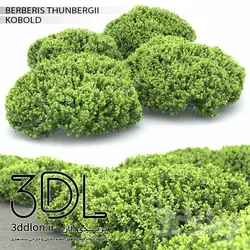 آبجکت گیاه Plant 359