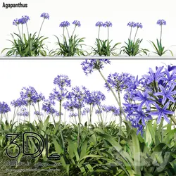 آبجکت گیاه Plant 356