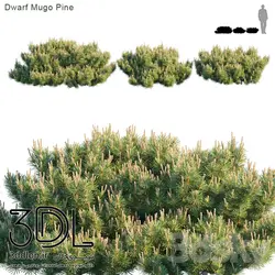 آبجکت گیاه Plant 354