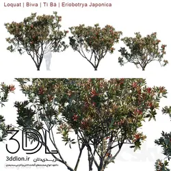 آبجکت گیاه Plant 353