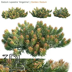 آبجکت گیاه Plant 350