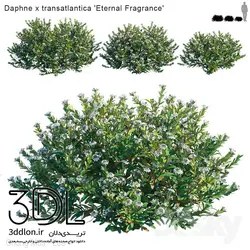 آبجکت گیاه Plant 349