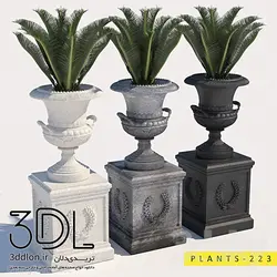 آبجکت گیاه Plant 347
