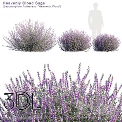 آبجکت گیاه Plant 345