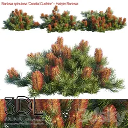 آبجکت گیاه Plant 343