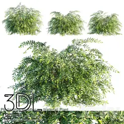 آبجکت گیاه Plant 342