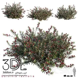 آبجکت گیاه Plant 341