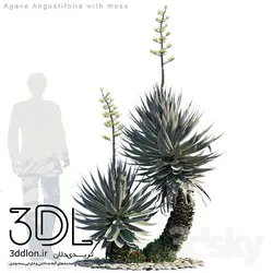 آبجکت گیاه Plant 338