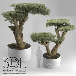 آبجکت گیاه Plant 337