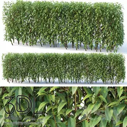 آبجکت گیاه Plant 333