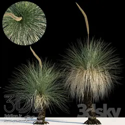 آبجکت گیاه Plant 332