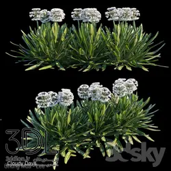 آبجکت گیاه Plant 331