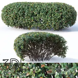 آبجکت گیاه Plant 330