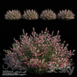 آبجکت گیاه Plant 329