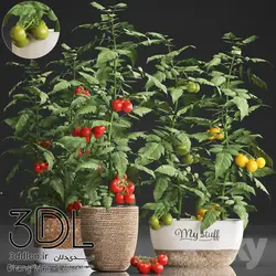 آبجکت گیاه Plant 326