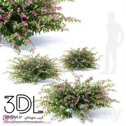 آبجکت گیاه Plant 321