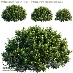 آبجکت گیاه Plant 316