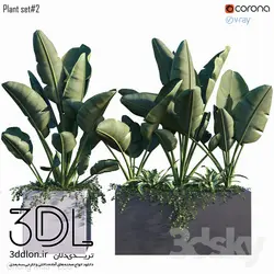 آبجکت گیاه Plant 314