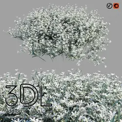 آبجکت گیاه Plant 313