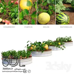 آبجکت گیاه Plant 311