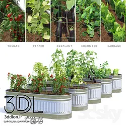 آبجکت گیاه Plant 310