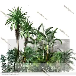 آبجکت گیاه Plant 306