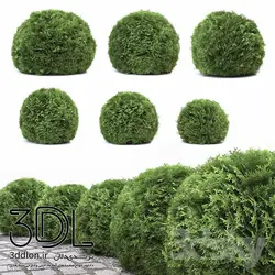 آبجکت گیاه Plant 304