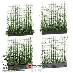 آبجکت گیاه Plant 303