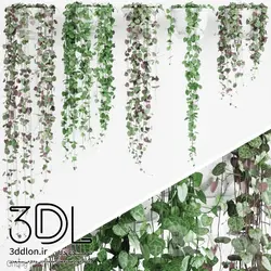 آبجکت گیاه Plant 302