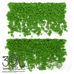 آبجکت گیاه Plant 301