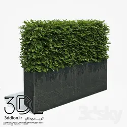 آبجکت گیاه Plant 300