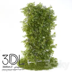 آبجکت گیاه Plant 299