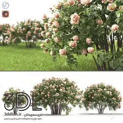 آبجکت گیاه Plant 294