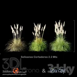 آبجکت گیاه Plant 287