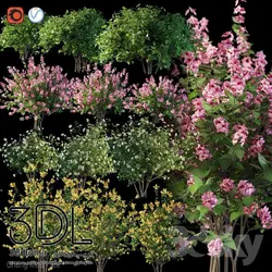 آبجکت گیاه Plant 286