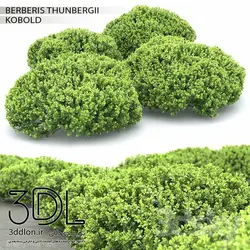 آبجکت گیاه Plant 283