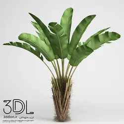 آبجکت گیاه Plant 275