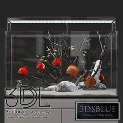 آبجکت آکواریوم aquarium 20