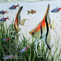 آبجکت آکواریوم aquarium 09