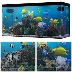 آبجکت آکواریوم aquarium 08