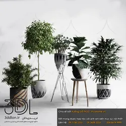 آبجکت گیاه plant 265