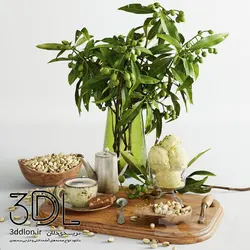 آبجکت گیاه plant 263