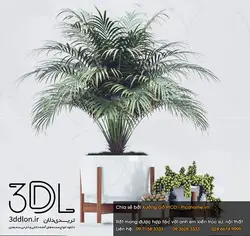 آبجکت گیاه plant 261