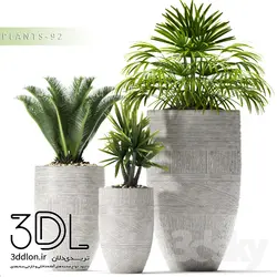 آبجکت گیاه plant 260