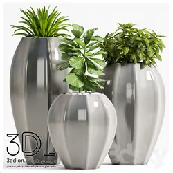 آبجکت گیاه plant 255