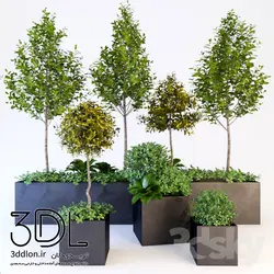 آبجکت گیاه plant 254