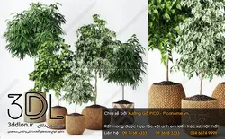 آبجکت گیاه plant 246