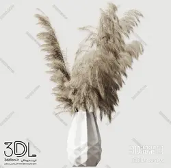 آبجکت گیاه plant 245