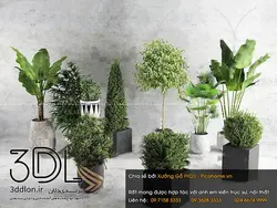 آبجکت گیاه plant 241