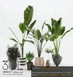 آبجکت گیاه plant 239